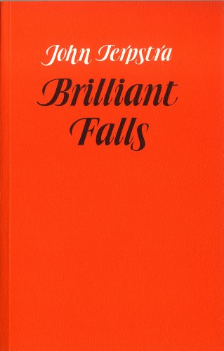 Stock image for Brilliant Falls for sale by Book Deals