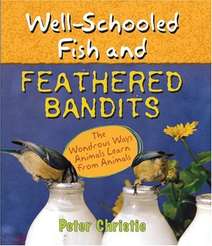 Stock image for Well-Schooled Fish and Feathered Bandits: The Wondrous Ways Animals Learn from Animals for sale by SecondSale