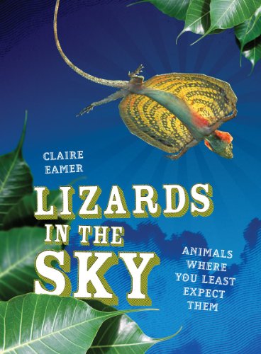 Stock image for Lizards in the Sky: Animals Where You Least Expect Them for sale by Books End Bookshop