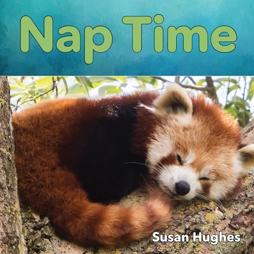 Imagen de archivo de Nap Time a la venta por Better World Books
