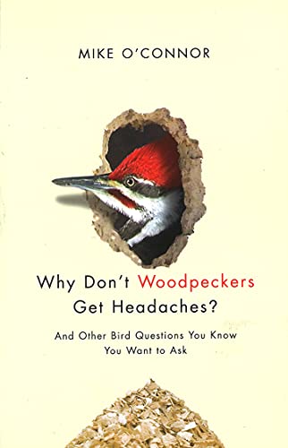 Stock image for Why Don't Woodpeckers Get Headaches? : And Other Bird Questions You Know You Want to Ask for sale by Better World Books