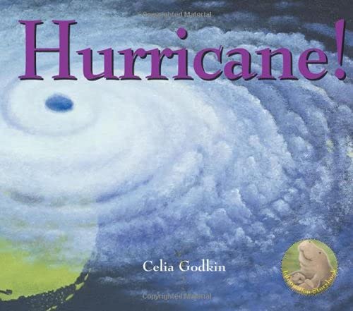 Imagen de archivo de Hurricane! a la venta por Better World Books