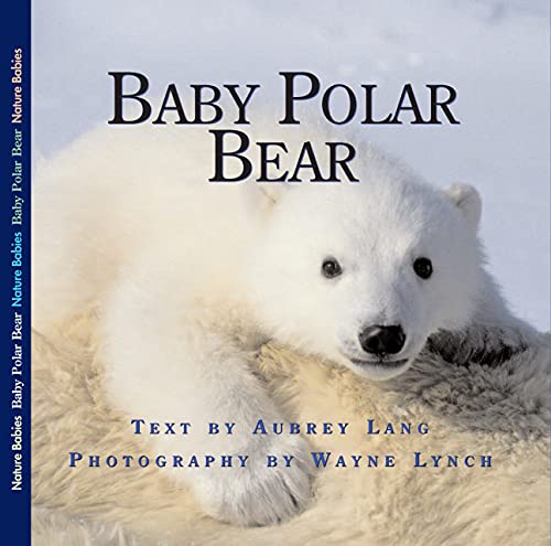 Beispielbild fr Baby Polar Bear zum Verkauf von Better World Books