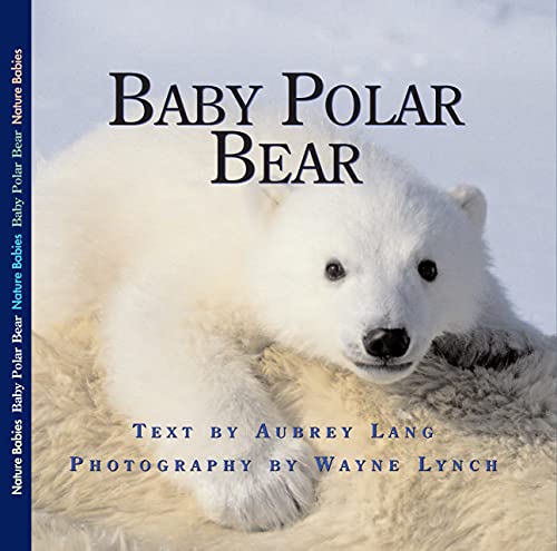 Stock image for Baby Polar Bear for sale by ThriftBooks-Dallas