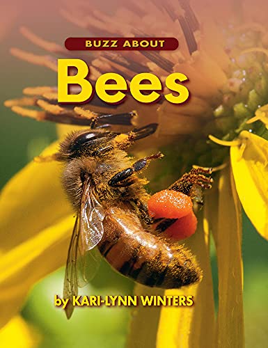 Imagen de archivo de Buzz About Bees (Up Close With Animals) a la venta por SecondSale