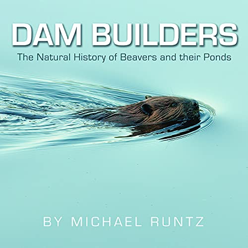 Imagen de archivo de Dam Builders : The Natural History of Beavers and Their Ponds a la venta por Better World Books