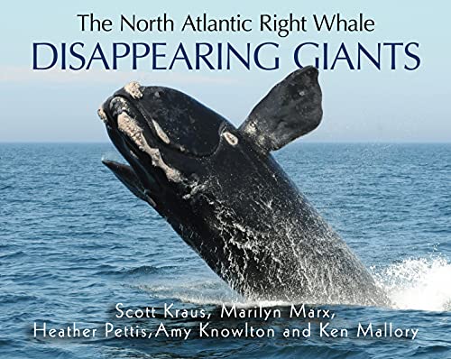 9781554554645: The North Atlantic Right Whale: Disappearing Giants