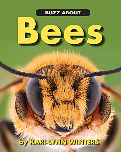 Stock image for Buzz about Bees for sale by ThriftBooks-Atlanta