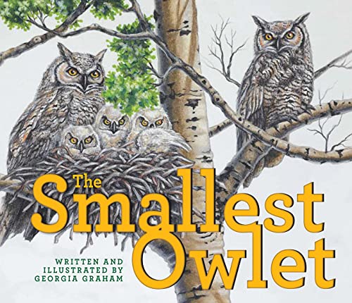 Stock image for The Smallest Owlet for sale by Blackwell's
