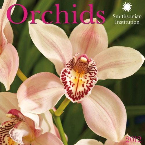 9781554564705: Orchids