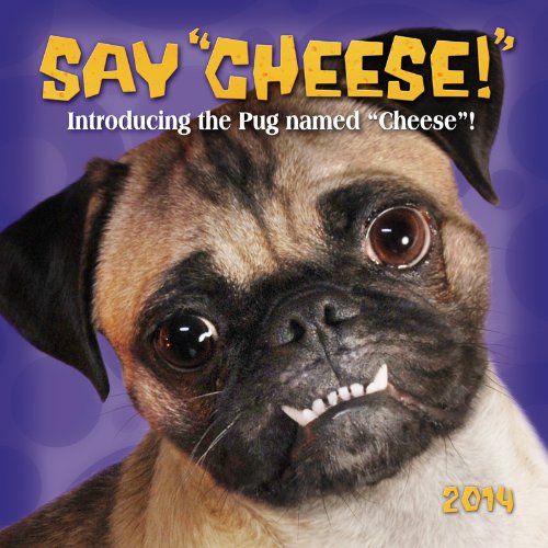 Stock image for Cheese the Pug 2014 Calendar for sale by medimops