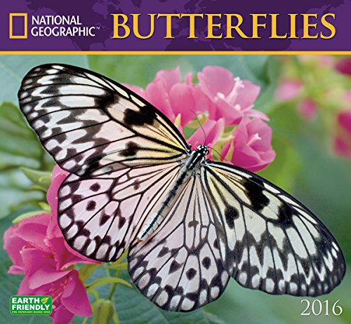 9781554568727: Butterflies National Geographic 2016 Wall Calendar