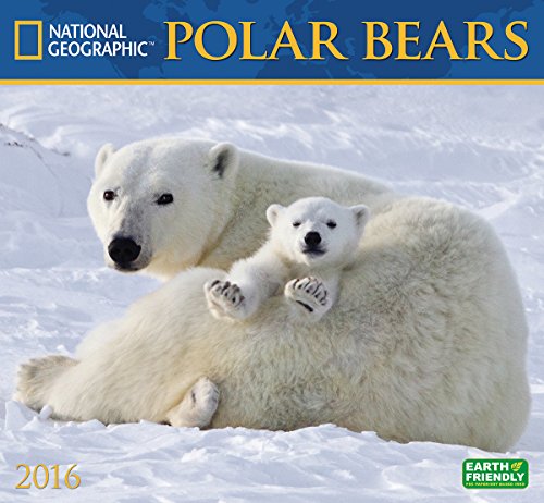 9781554568833: Cal 2016 Polar Bears