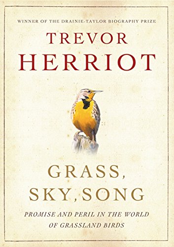 9781554680382: Grass, Sky, Song: Promise And Peril In World Of Grassland Birds