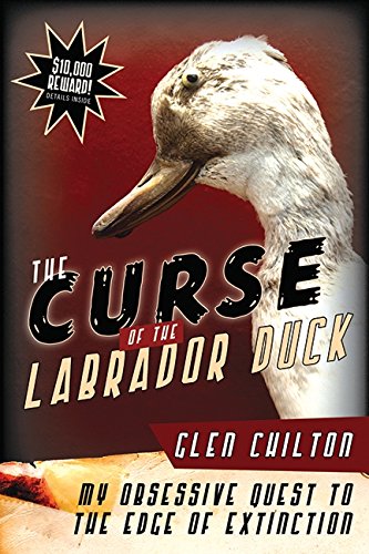 Imagen de archivo de Curse of the Labrador Duck : My Obsessive Quest to the Edge of Extinction a la venta por Better World Books: West