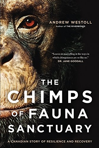 Beispielbild fr Chimps of Fauna Sanctuary : A Canadian Story of Resilience and Recovery zum Verkauf von Better World Books: West