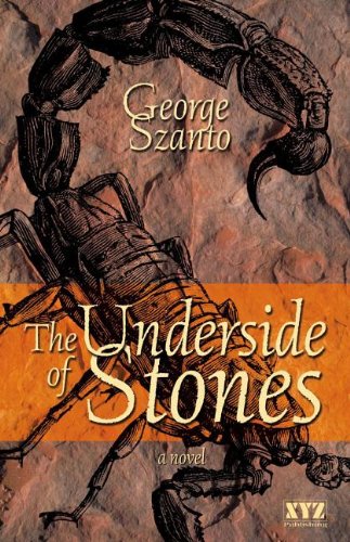 9781554886937: The Underside of Stones