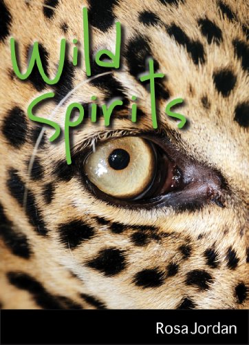 Stock image for Wild Spirits: A Novel for sale by Hay-on-Wye Booksellers