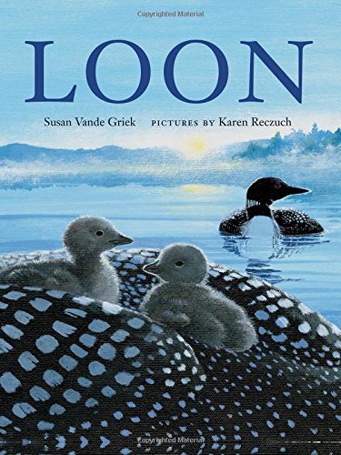 Stock image for Loon for sale by Better World Books