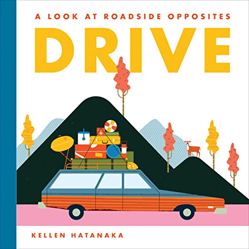 Beispielbild fr Drive : A Look at Roadside Opposites zum Verkauf von Better World Books