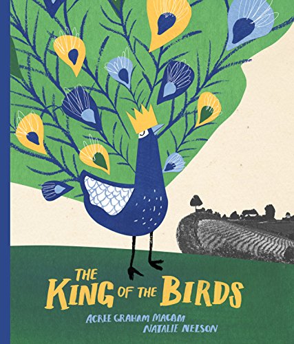 Beispielbild fr The King of the Birds zum Verkauf von Better World Books