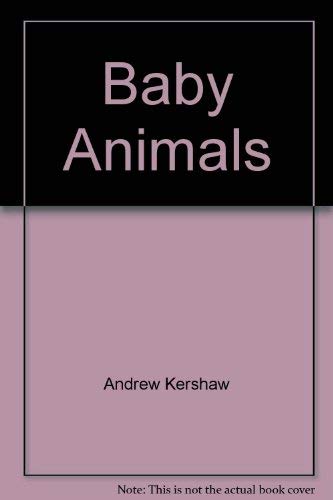 Imagen de archivo de Baby Animals a la venta por R Bookmark