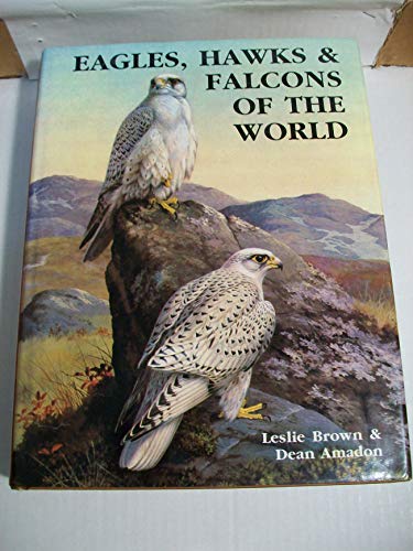 Stock image for Eagles, Hawks and Falcons of the World for sale by Books of the Smoky Mountains