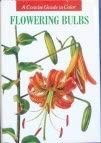 Stock image for Flowering Bulbs for sale by Hippo Books
