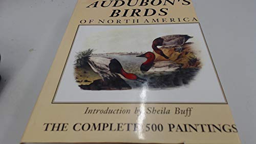 Beispielbild fr Audubon's Birds of North America zum Verkauf von ThriftBooks-Dallas