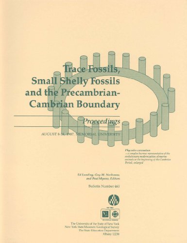 Imagen de archivo de TRACE FOSSILS, SMALL SHELLY FOSSILS AND THE PRECAMBRIAN - CAMBRIAN BOUNDARY: PROCEEDINGS OF THE 1987 CONFERENCE AT MEMORIAL UNIVERSITY, NEWFOUNDLAND a la venta por Paul Gritis Books