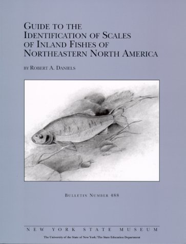 GUIDE TO THE IDENTIFICATION OF SCALES OF INLAND FISHES OF NORTHEASTERN NORTH AMERICA Bulletin No....