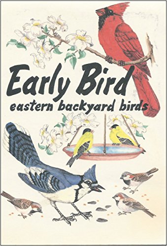 Beispielbild fr Early Bird: Eastern Backyard Birds zum Verkauf von Ergodebooks