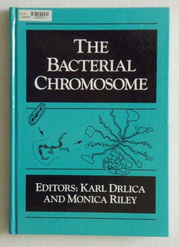 Beispielbild fr The Bacterial Chromosome zum Verkauf von ThriftBooks-Dallas