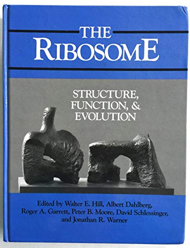 Stock image for The Ribosome : Structure, Function and Evolution for sale by Better World Books Ltd
