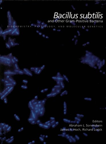 Imagen de archivo de Bacillus Subtilis and Other Gram-Positive Bacteria Biochemistry, Physiology and Molecular Genetics a la venta por TextbookRush