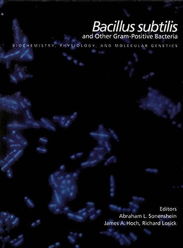 9781555810535: Bacillus subtilis and Other Gram-Positive Bacteria: from Genes to Cells