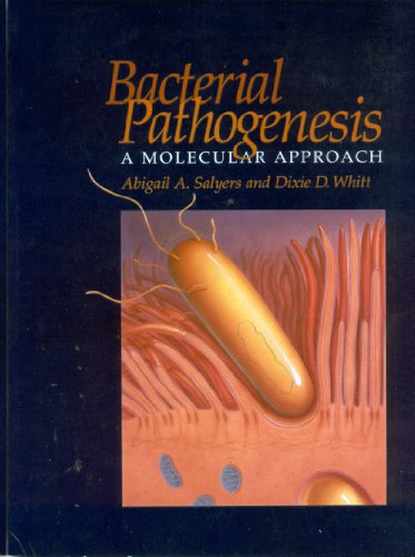 Imagen de archivo de Bacterial Pathogenesis : A Molecular Approach a la venta por Better World Books: West