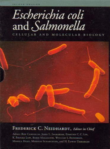 Stock image for Escherichia Coli & Salmonella: Cellular and Molecular Biology for sale by Lost Books
