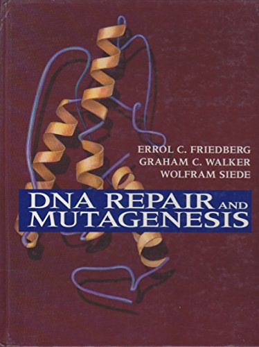9781555810887: DNA Repair and Mutagenesis