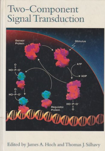 Beispielbild fr Two-Component Signal Transduction, 1995 publication zum Verkauf von HPB Inc.