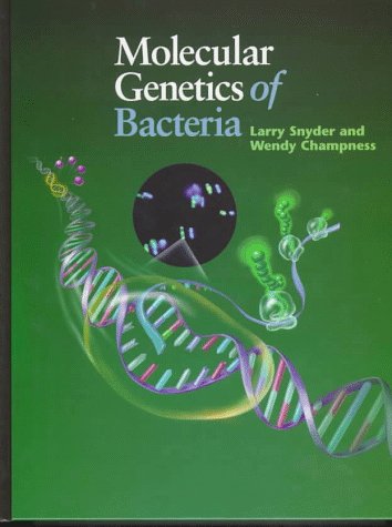 Stock image for Molecular Genetics of Bacteria for sale by BookHolders