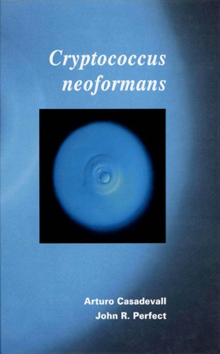 Stock image for Cryptococcus Neoformans: Molecular Pathogenesis and Clinical Management for sale by Books From California