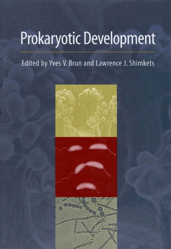 Stock image for Prokaryotic Development for sale by Better World Books
