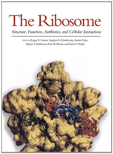 9781555811846: The Ribosome: Structure, Function, Antibiotics, and Cellular Interactions