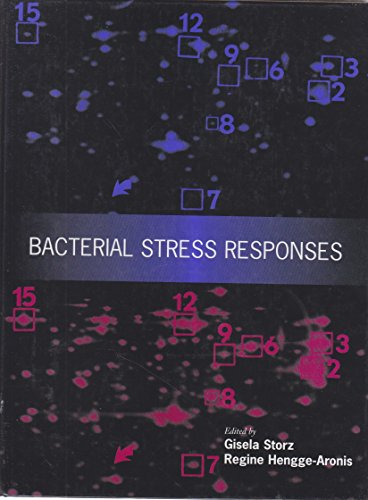 Beispielbild fr Bacterial Stress Responses zum Verkauf von Ammareal