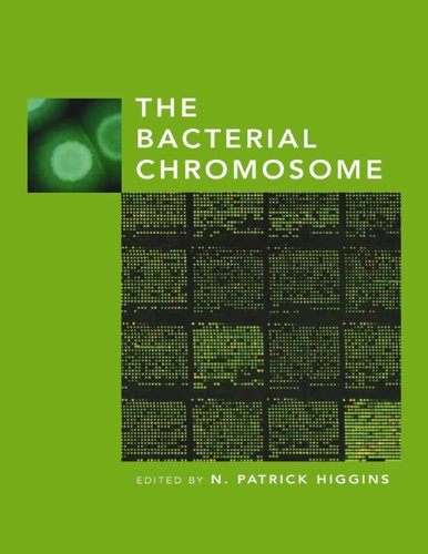 Beispielbild fr Bacterial Chromosomes zum Verkauf von Wonder Book