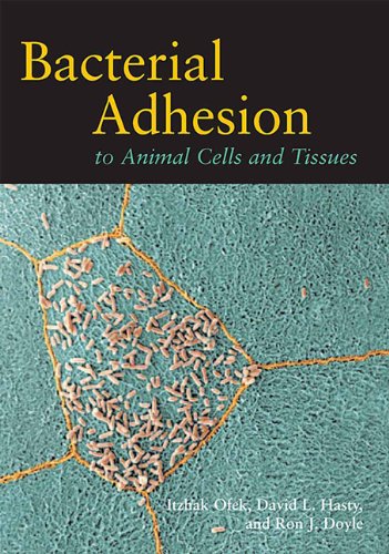 Beispielbild fr Bacterial Adhesion to Animal Cells zum Verkauf von Books Puddle