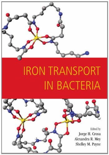 Beispielbild fr Iron Transport in Bacteria zum Verkauf von Booksavers of Virginia