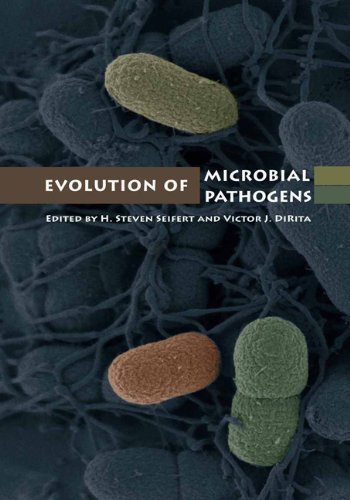 Stock image for Evolution of Microbial Pathogens for sale by HPB-Red