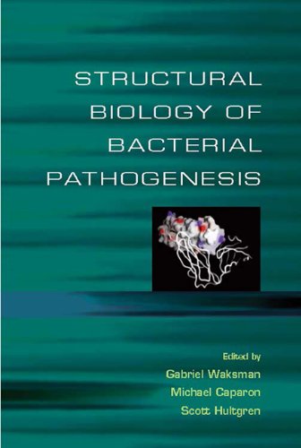 Beispielbild fr Structural Biology Of Bacterial Pathogenesis zum Verkauf von Cambridge Rare Books